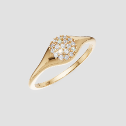 Signature Domed Pave Ring — 3D model preview
