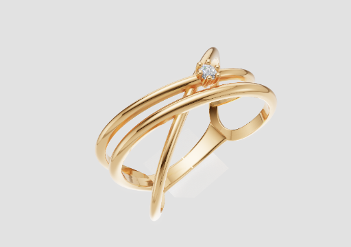 Signature Crossing Paths Ring — 3D model preview